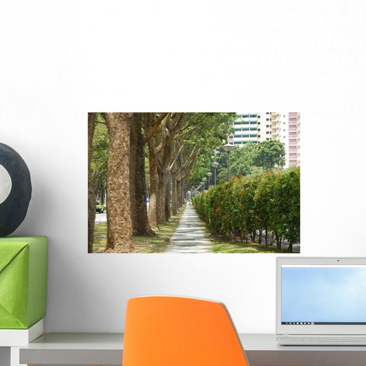 Trees and Walk Paths Wall Decal