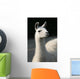 White llama Wall Mural