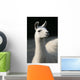 White llama Wall Mural