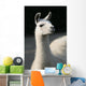 White llama Wall Mural