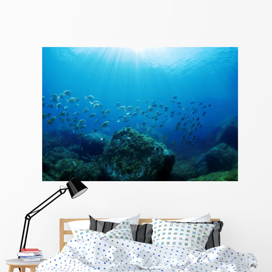 Sea Bed Wall Decal