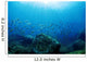 Sea Bed Wall Decal