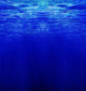 Under Deep Blue Ocean Wall Decal