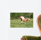 Escape to Gallop Wall Decal
