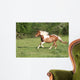 Escape to Gallop Wall Decal