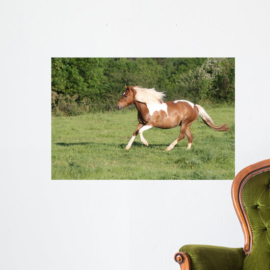 Escape to Gallop Wall Decal