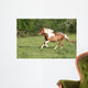 Escape to Gallop Wall Decal