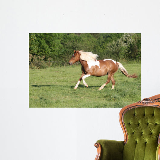Escape to Gallop Wall Decal