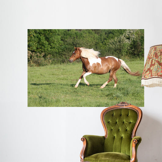 Escape to Gallop Wall Decal