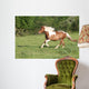 Escape to Gallop Wall Decal