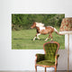 Escape to Gallop Wall Decal