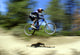Mountain Bike Racer Wall Decal
