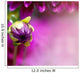 Purple Flower Petal Wall Decal