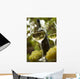 Wine Wall Decal