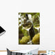 Wine Wall Decal