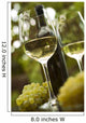 Wine Wall Decal