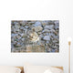 Snow Leopard Resting on a Rock Wall Decal