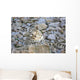 Snow Leopard Resting on a Rock Wall Decal