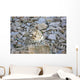 Snow Leopard Resting on a Rock Wall Decal