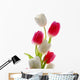 Red and White Tulips Wall Decal