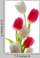 Red and White Tulips Wall Decal