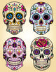 Day Dead Vector Illustration Wall Decal