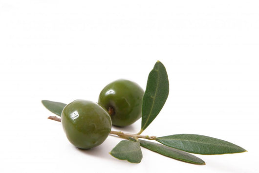 Olive 45 Wall Decal