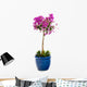 Detail Bougainvillea Blue Pot Wall Decal