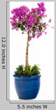 Detail Bougainvillea Blue Pot Wall Decal