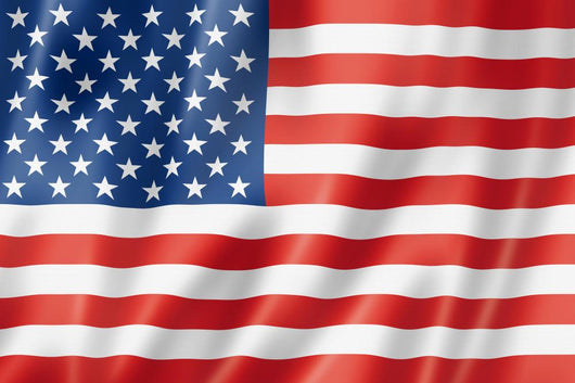 United States Flag Wall Decal