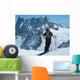 Vallee Blanche Wall Decal