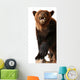 Stuffed Bear Statue Wall Decal