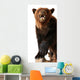 Stuffed Bear Statue Wall Decal