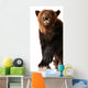 Stuffed Bear Statue Wall Decal