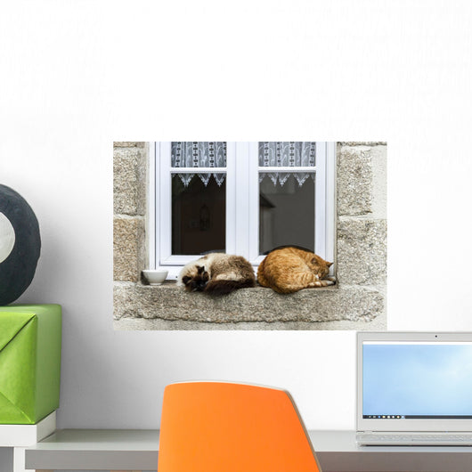 Two Cats Are Sleeping Wall Decal