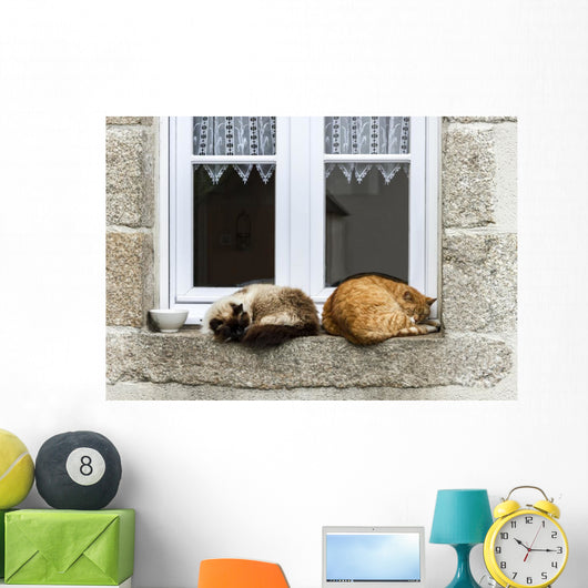 Two Cats Are Sleeping Wall Decal