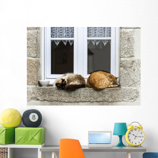 Two Cats Are Sleeping Wall Decal