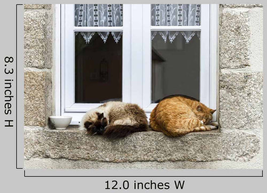 Two Cats Are Sleeping Wall Decal