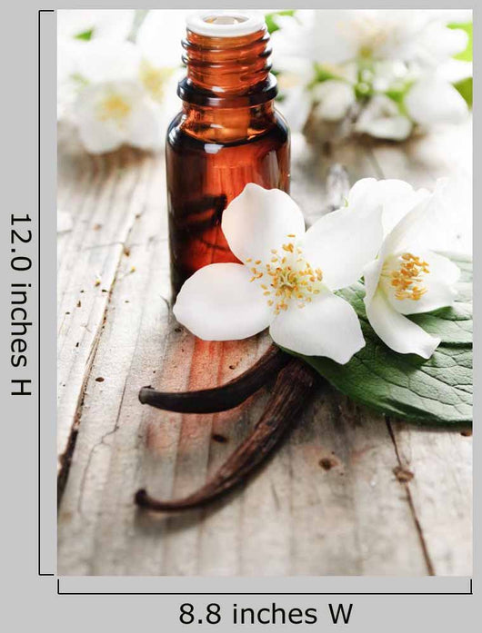 Essential Oil Wall Decal