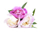 Peony Bouquet Wall Decal