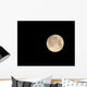 Moon Wall Decal