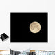 Moon Wall Decal