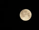 Moon Wall Decal