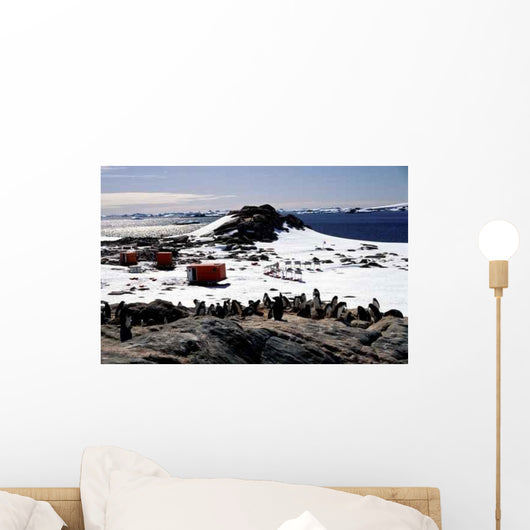Base Temporaire Antarctique Wall Decal