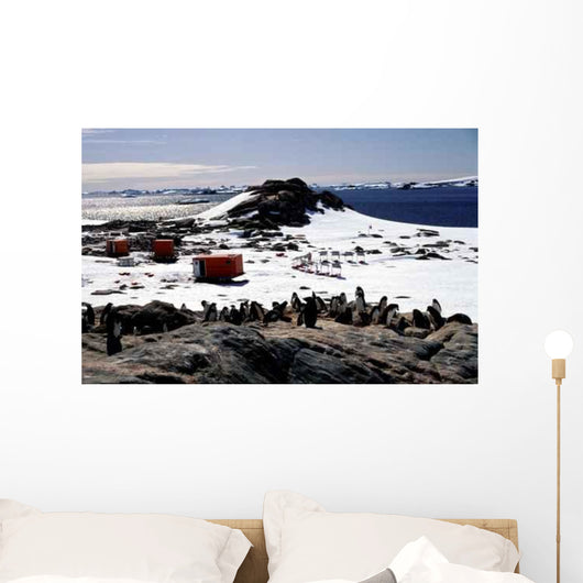 Base Temporaire Antarctique Wall Decal