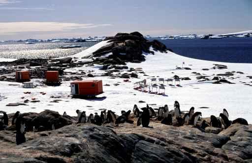 Base Temporaire Antarctique Wall Decal