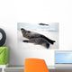 Bebe Et Maman Phoque Wall Decal
