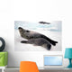 Bebe Et Maman Phoque Wall Decal