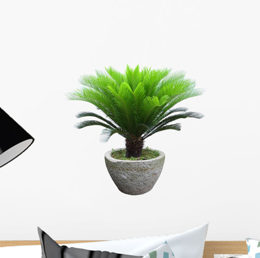 Sago Cycad Tree Wall Decal