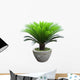 Sago Cycad Tree Wall Decal